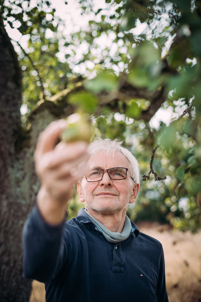 Von der Birne zur Hutzel: Tradition und Handwerk in Fatschenbrunn ... Von der Birne zur Hutzel: Tradition und Handwerk in Fatschenbrunn ...